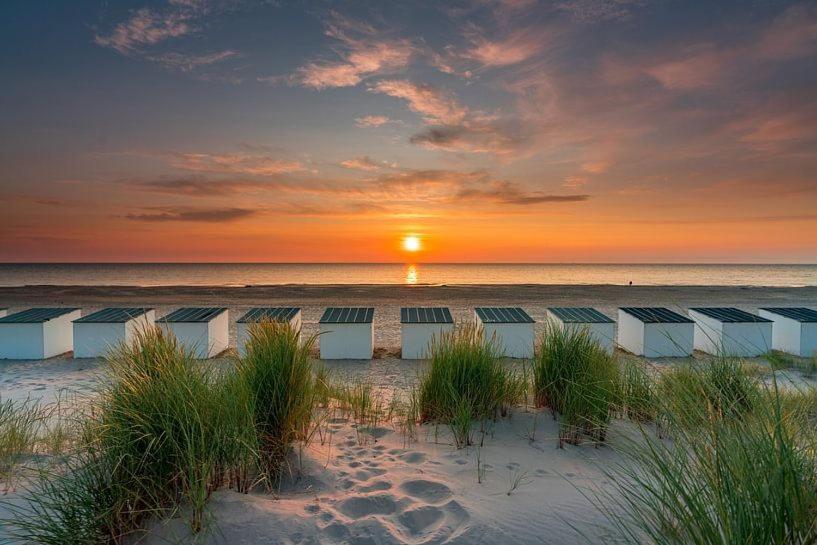 Beautifull House Beach Life 47 De Cocksdorp  Eksteriør bilde